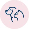 pets pets