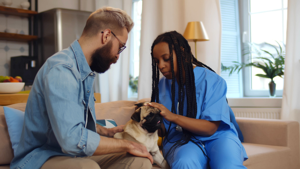 Pet owner comforting elderly dog during in-home hospice care visit Boston Area