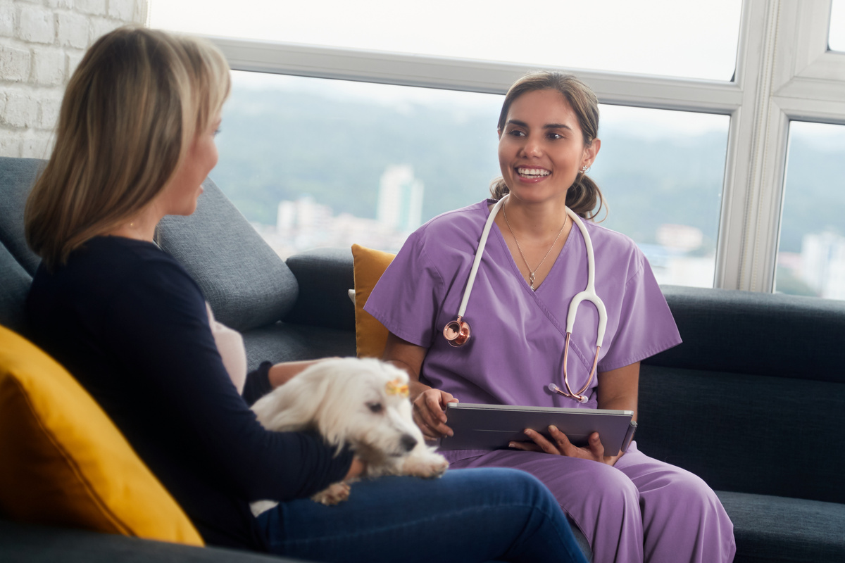 Veterinarian examining a sick dog during a diagnostic consultation Boston Area